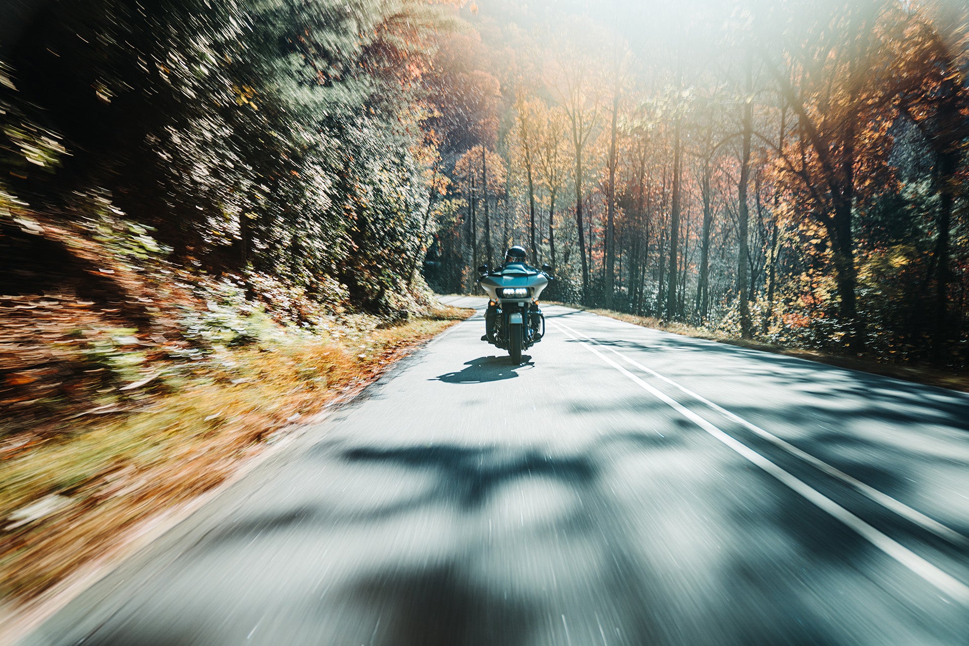 Motorcycle on a road surrounded by trees with a blurred effect